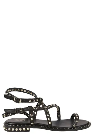 Ash Petra Studded Sandals