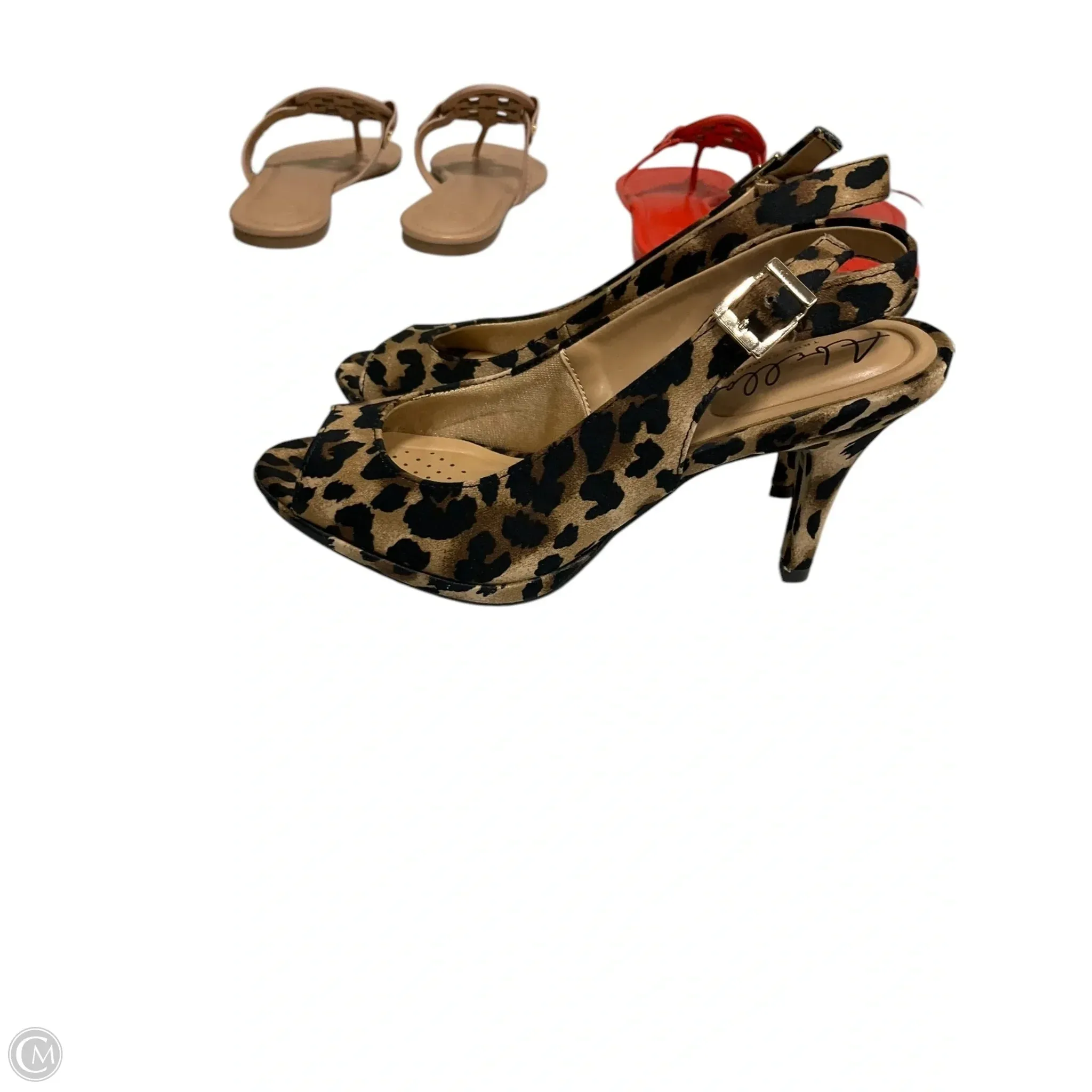 Sandals Heels Kitten By Clothes Mentor In Animal Print, Size: 6