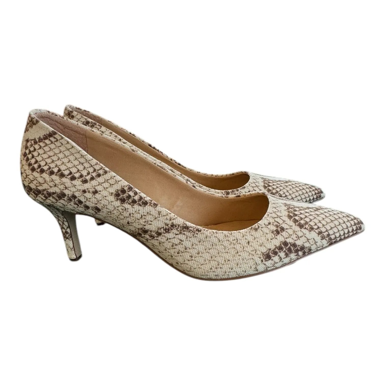 Shoes Heels Kitten By Franco Sarto In Snakeskin Print, Size:6.5