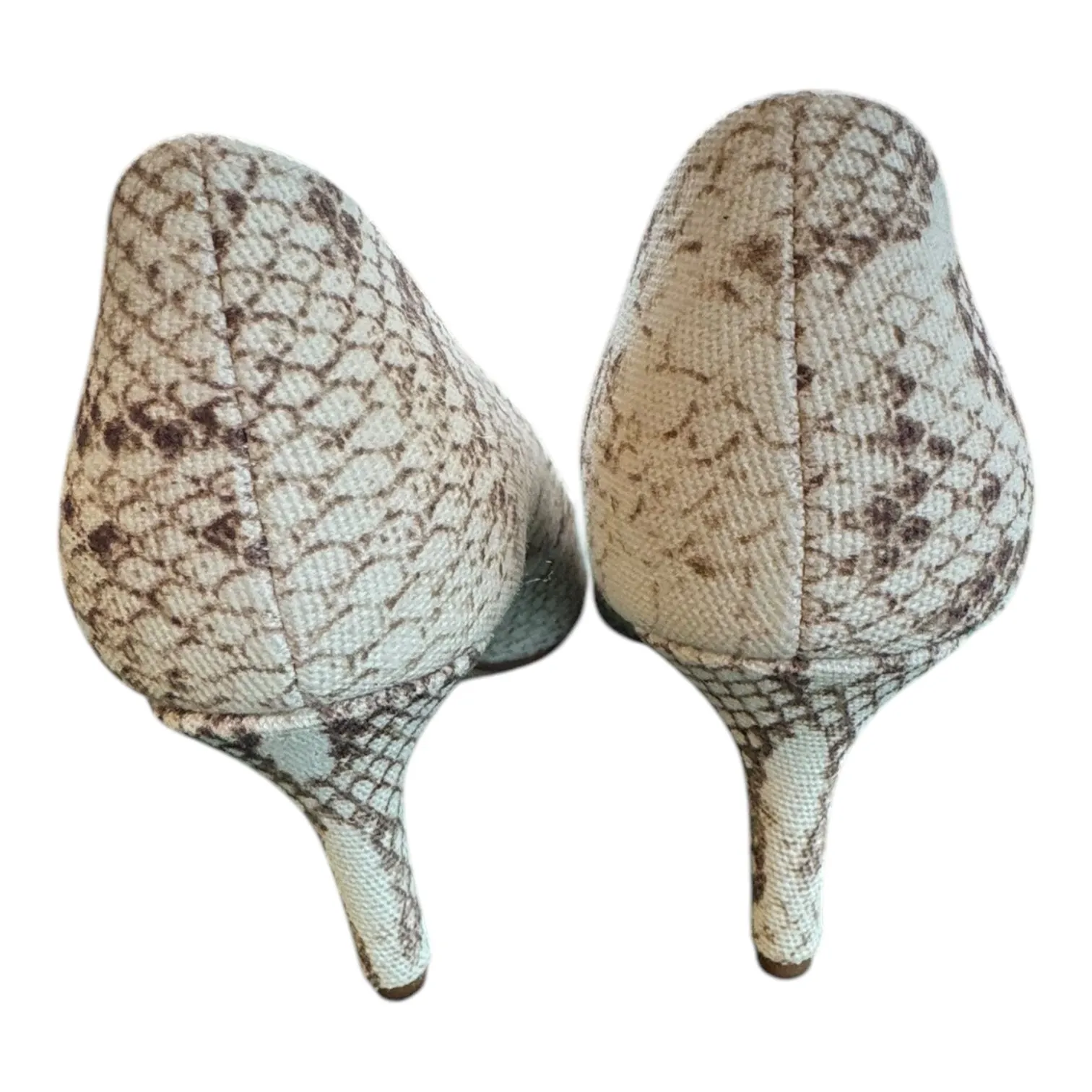 Shoes Heels Kitten By Franco Sarto In Snakeskin Print, Size:6.5