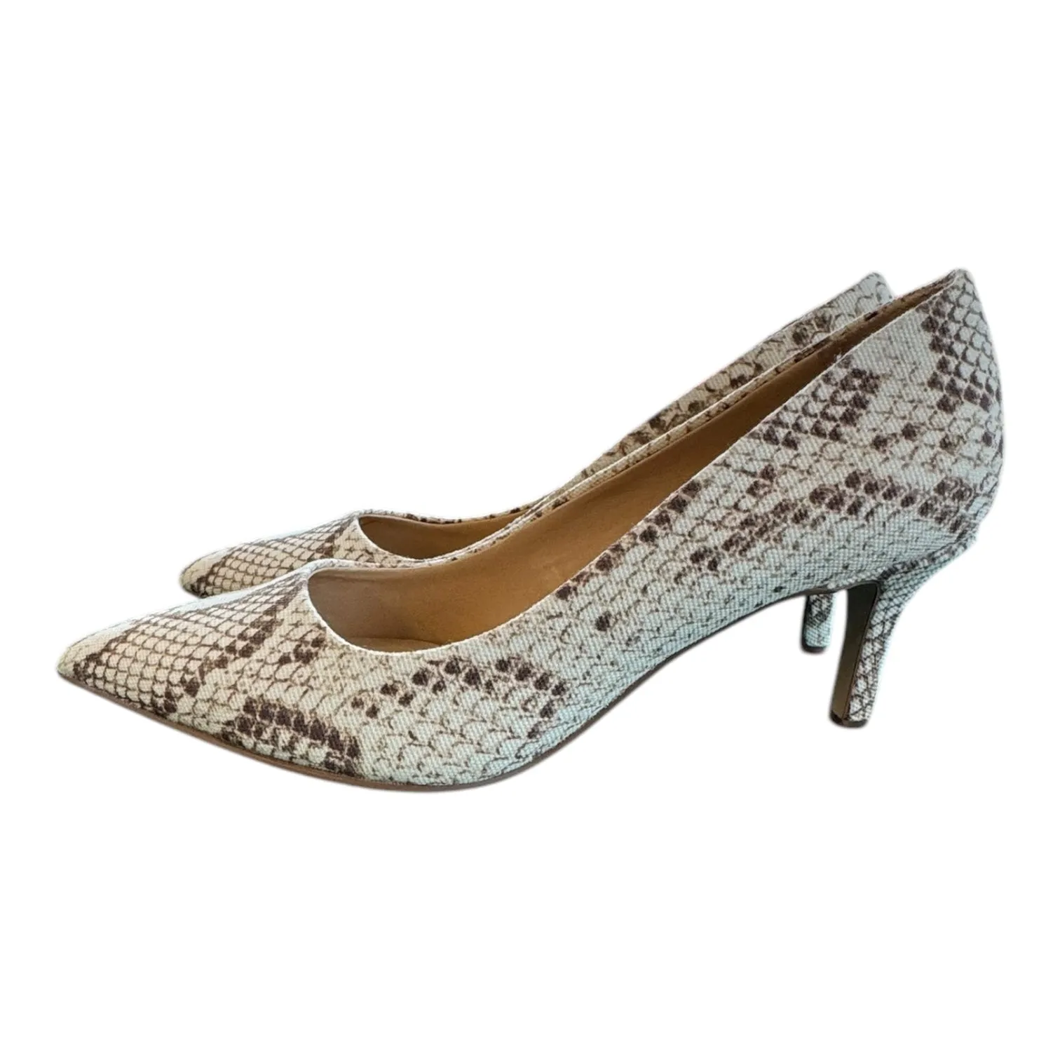 Shoes Heels Kitten By Franco Sarto In Snakeskin Print, Size:6.5
