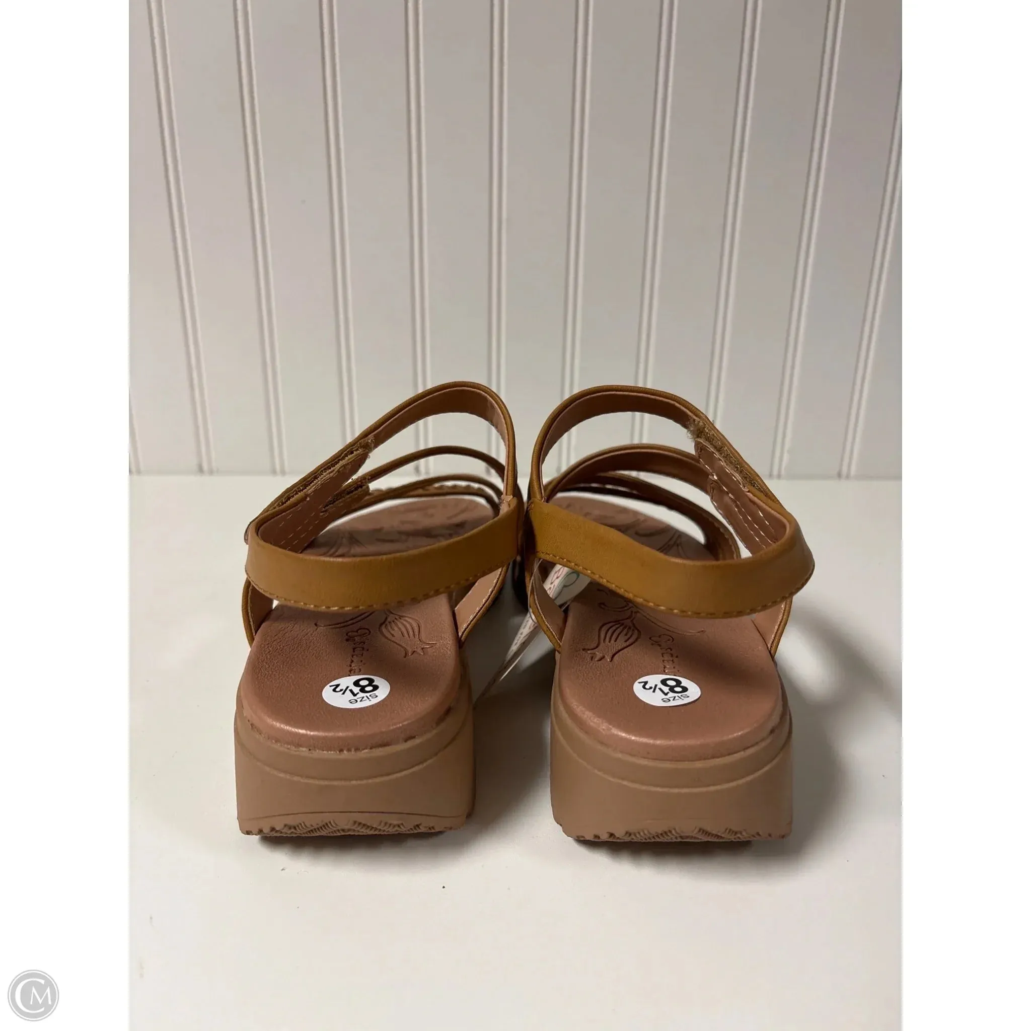 Shoes Heels Wedge By Bare Traps In Brown, Size: 8.5