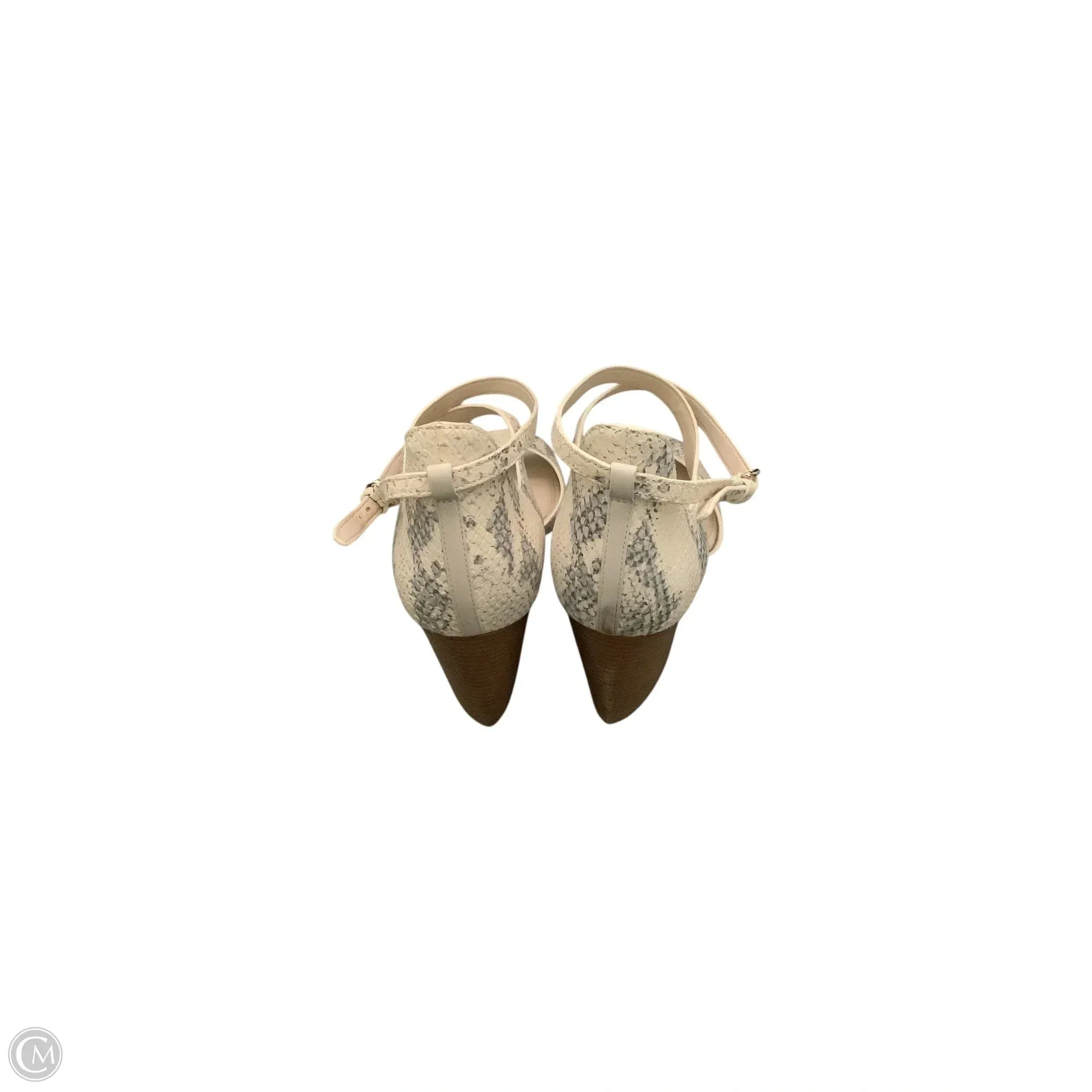 Shoes Heels Wedge By Cole-haan In Snakeskin Print, Size: 9